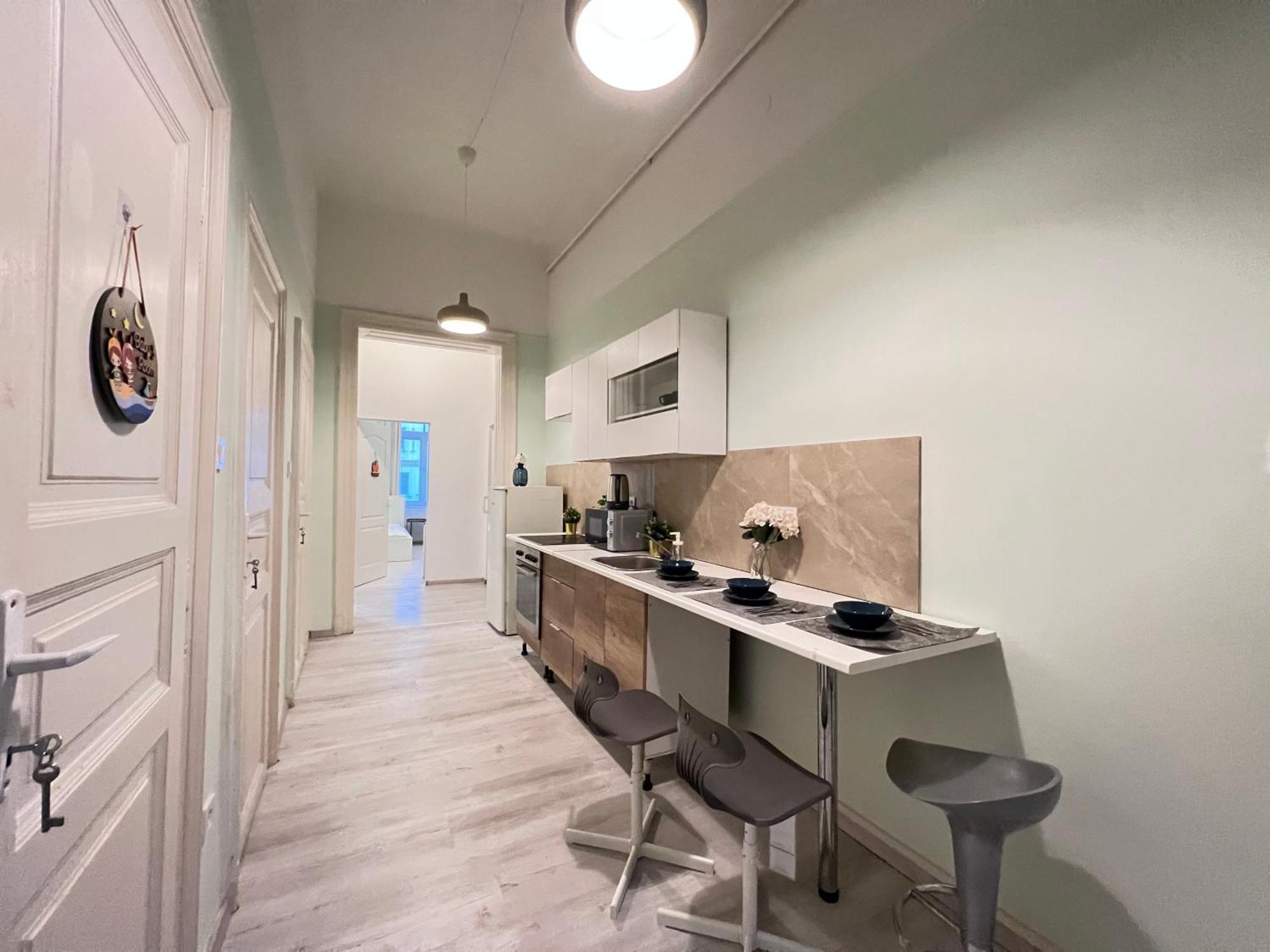 Baross Apartment With Convenience And Style Budapest Eksteriør bilde